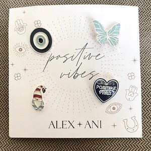 Alex and Ani Positive Vibes Pin Set